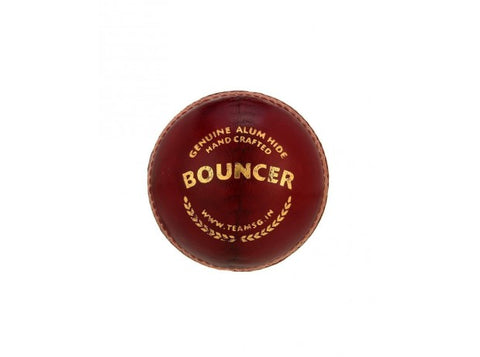 SG Cricket Ball Bouncer