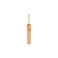 GLS C-BAT KW CT-100